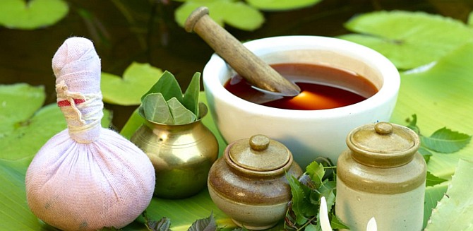 Ayurvedic PCD Companies in Maharashtra