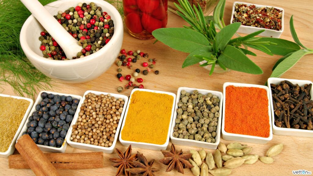 Ayurvedic Medicine Manufacturers In Akola 