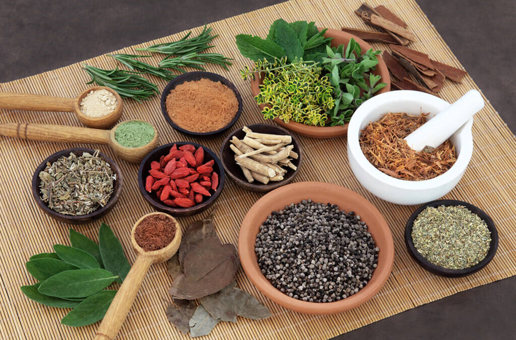 Ayurvedic Medicine Manufacturers In Chhattisgarh